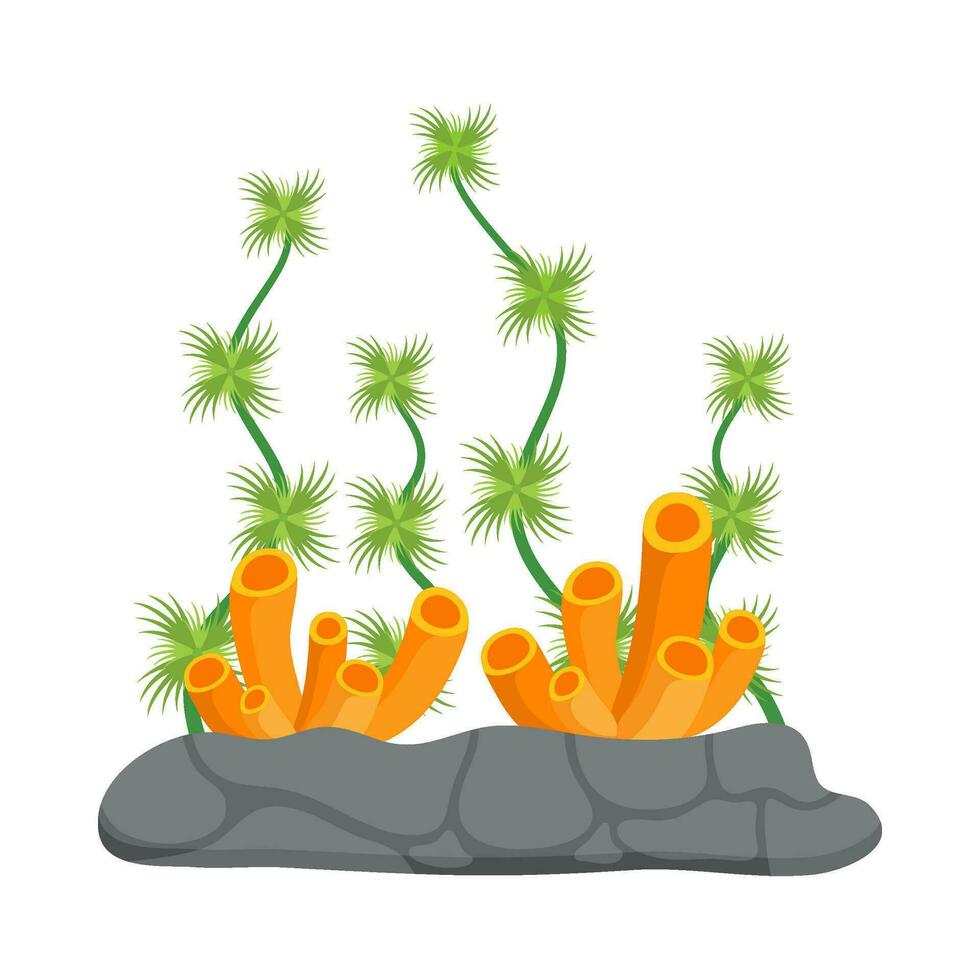 Flat illustration of sea coral reef vector