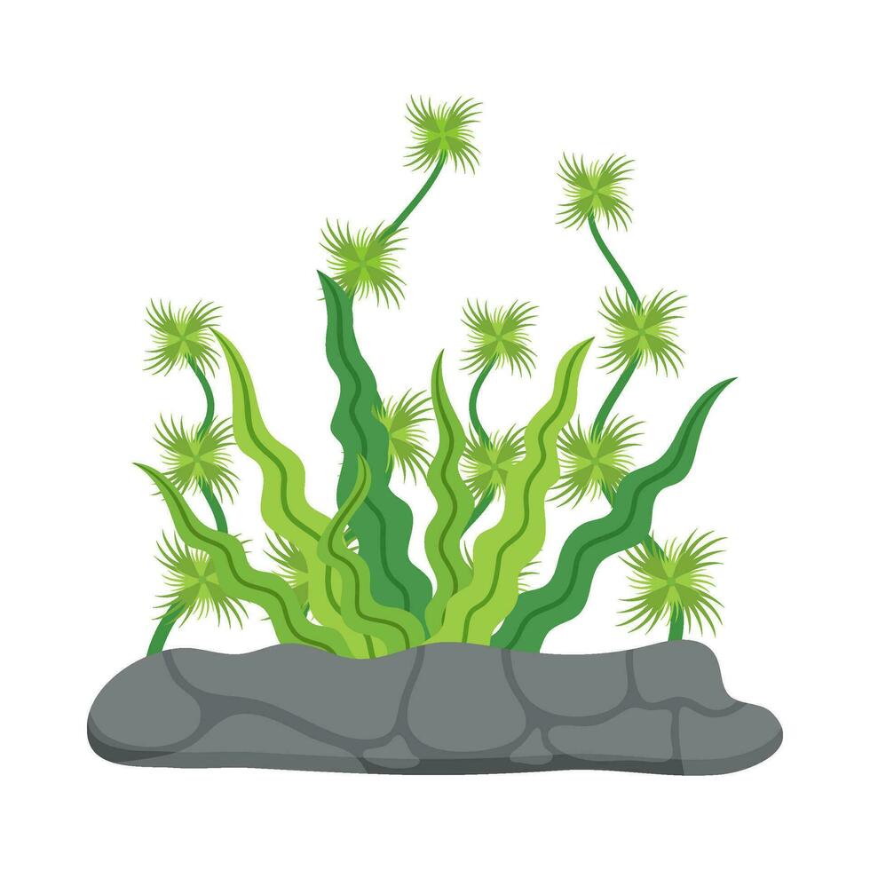 Flat illustration of sea coral reef vector