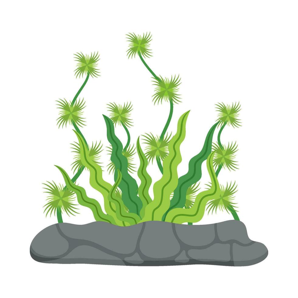 Flat illustration of sea coral reef vector