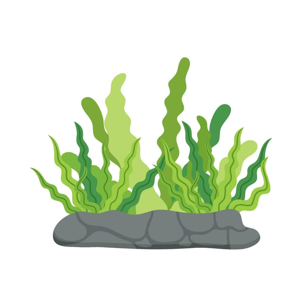 Flat illustration of sea coral reef vector