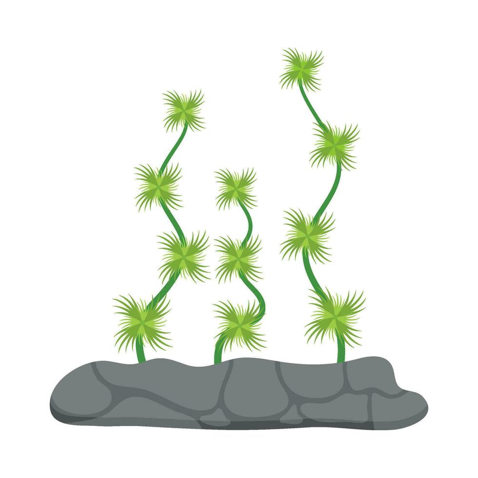 Flat illustration of sea coral reef vector