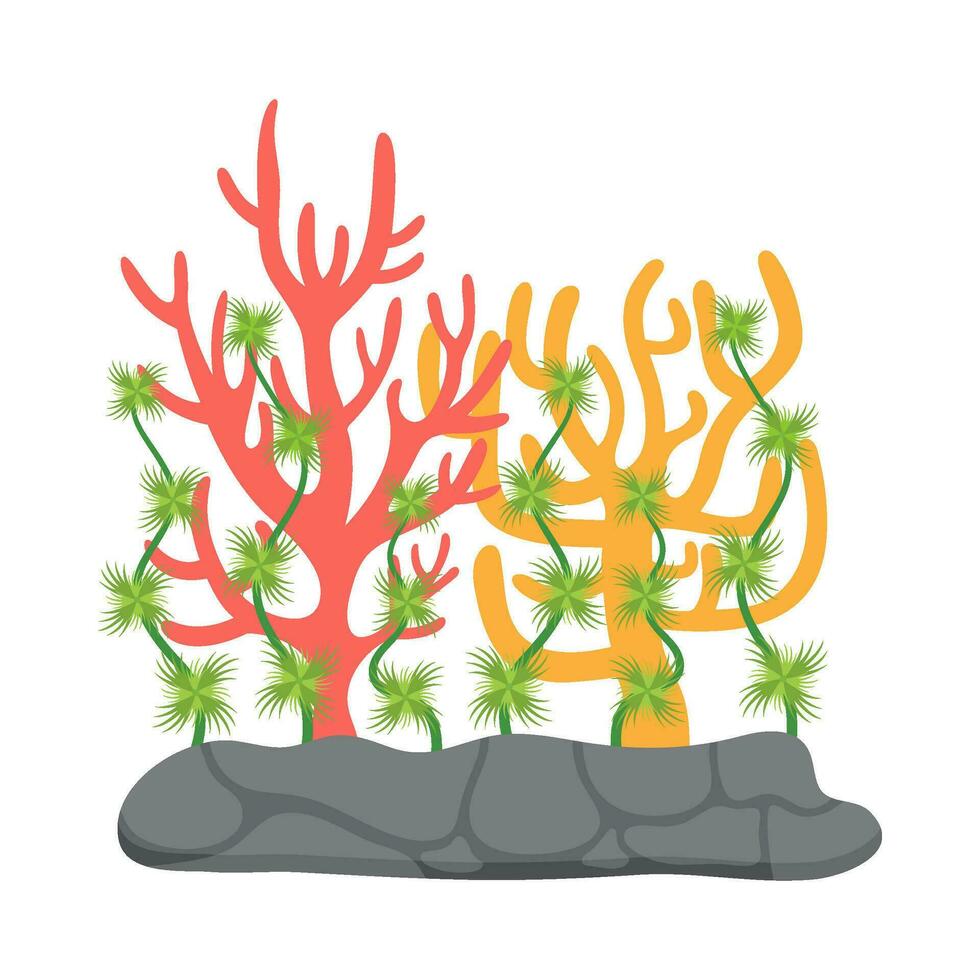 Flat illustration of sea coral reef vector