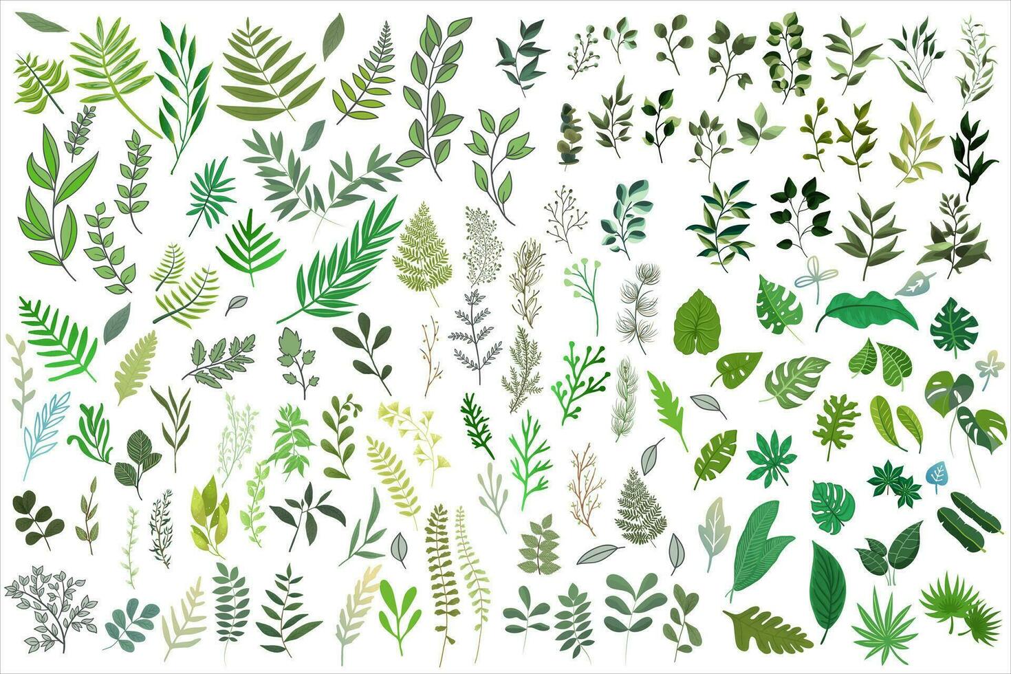verde planta hojas enorme colección plano vector. conjunto de bosque hierbas, sucursales, y tropical verde hojas. vector