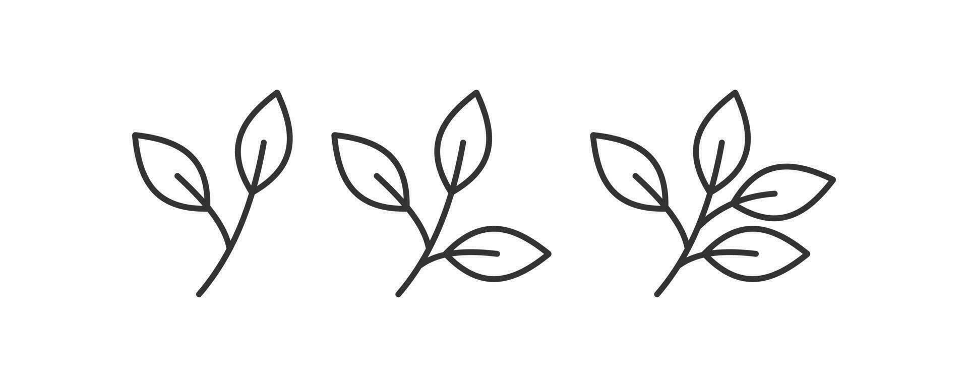 Sprigs of tea icon. Vector illustration design.