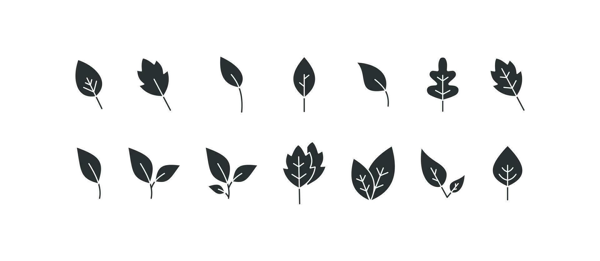 Leaf icon set.   Tree leaves, sprout vector