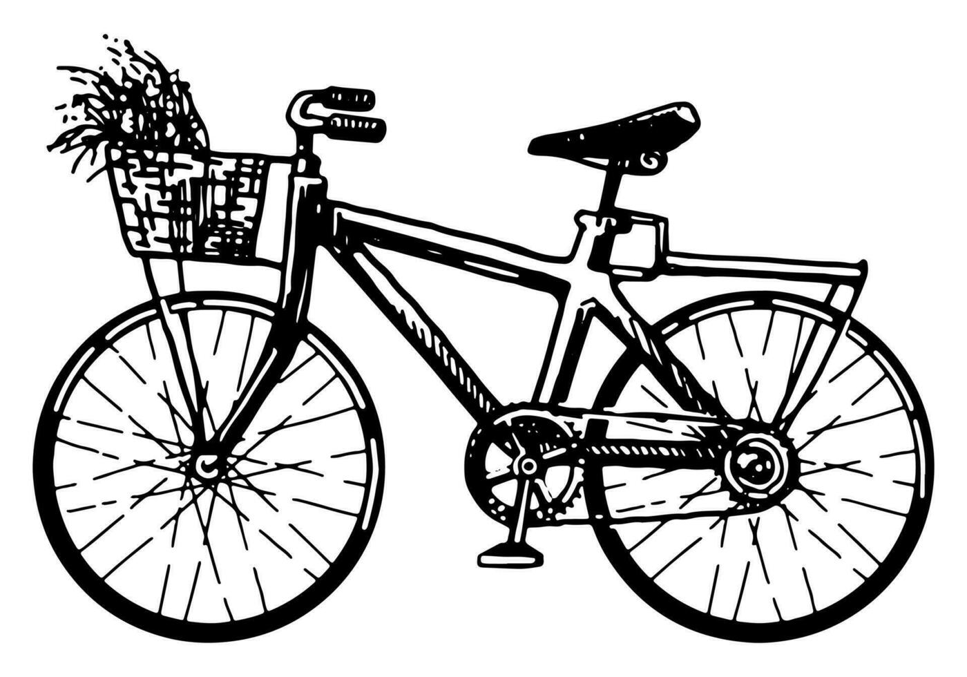 bicicleta con cesta de flores bosquejo clipart. verano ocio ocupaciones deporte garabatear aislado en blanco. mano dibujado vector ilustración en grabado estilo.