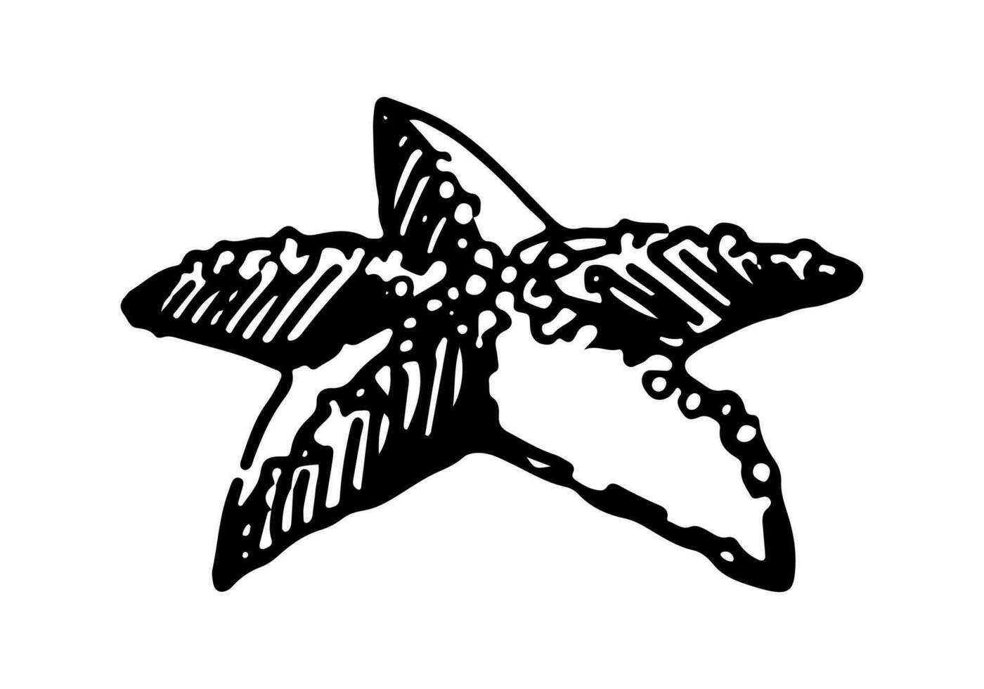 Star fish clipart. Single doodle of underwater animal isolated on white. Hand drawn vector illustration in engraving style.