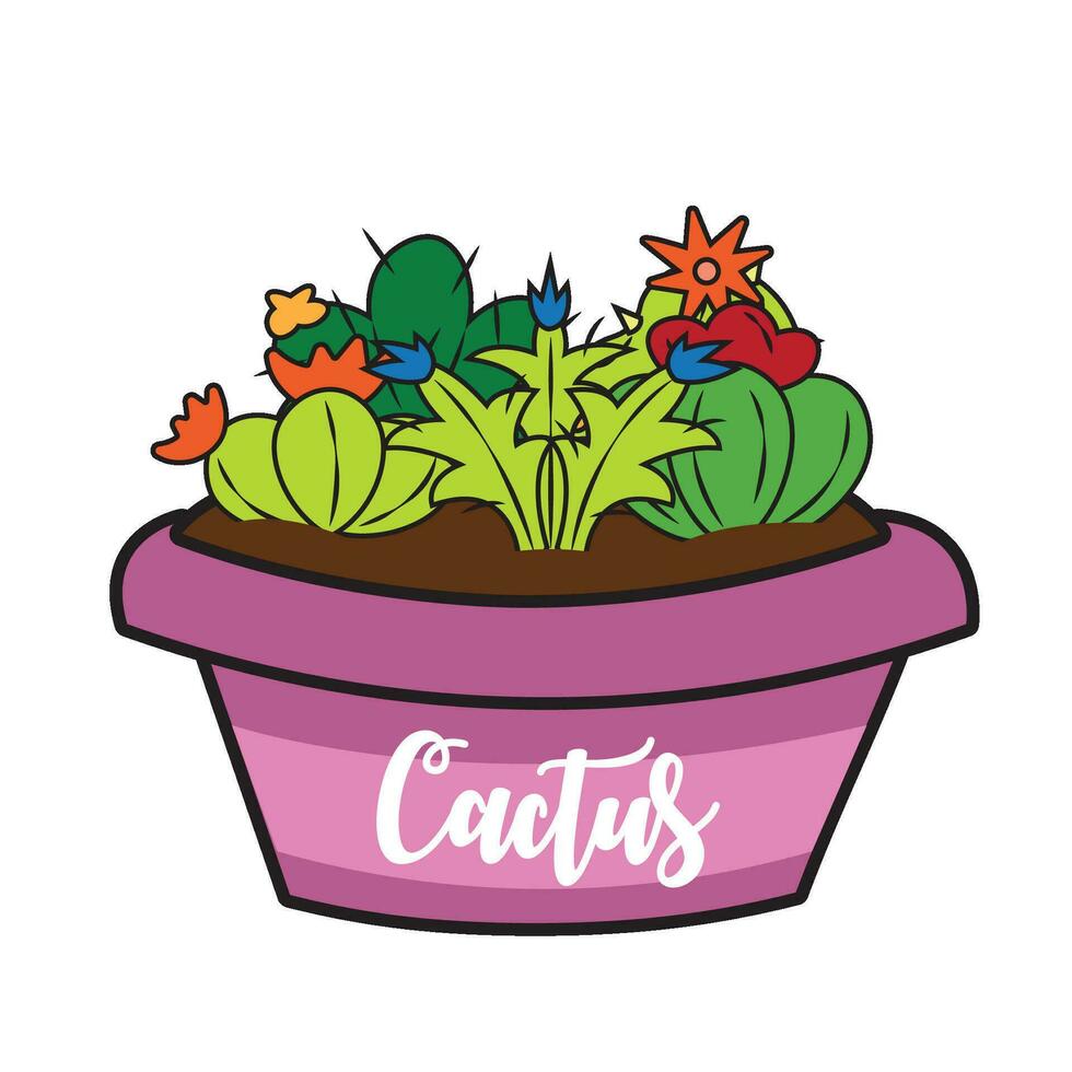 Group of different colored cactus on a pot Vector illustration