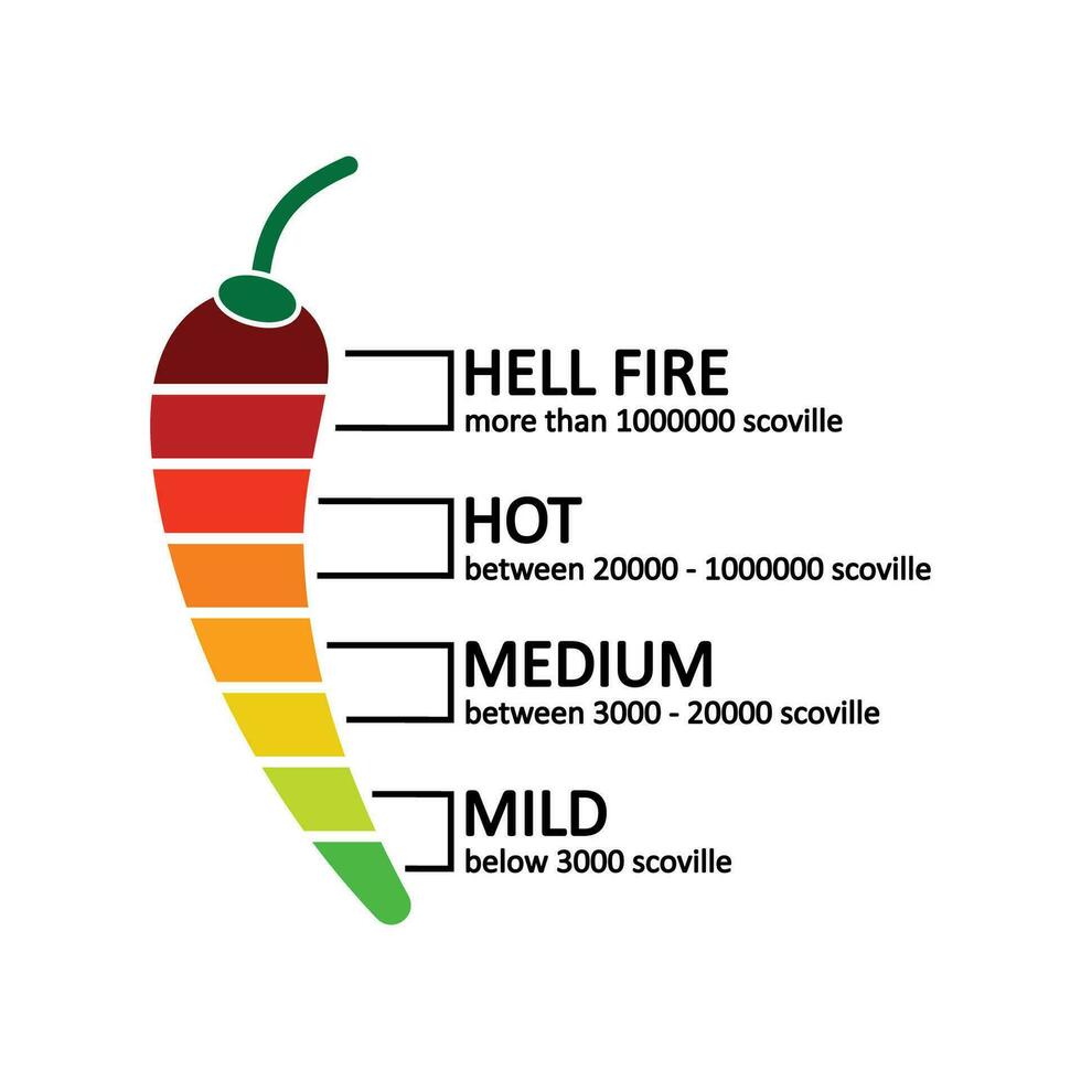 chile pimienta picor nivel icono. picante comida picor nivel ilustración símbolo. firmar comida infografía vector