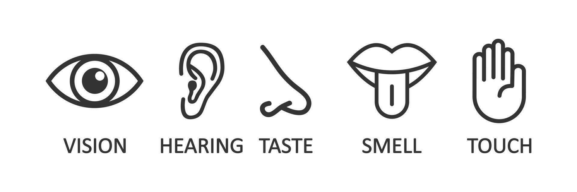 Human sense icons. Organs vision, hearing, taste, smell, touch  symbol. Sign people vector flat.