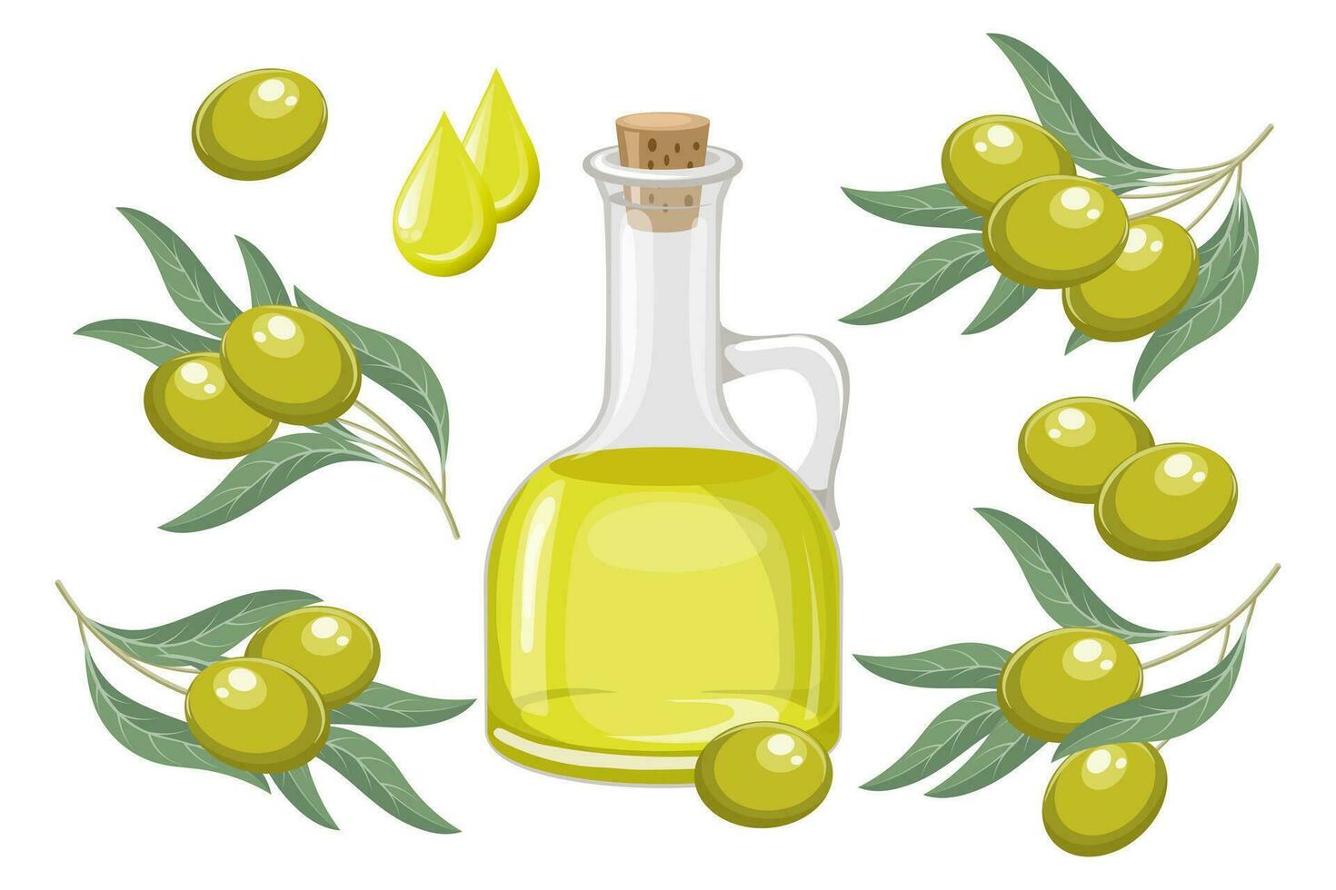 Set of green olives. Olive oil, drops of oil and twigs with olives and leaves. Food illustration, vector