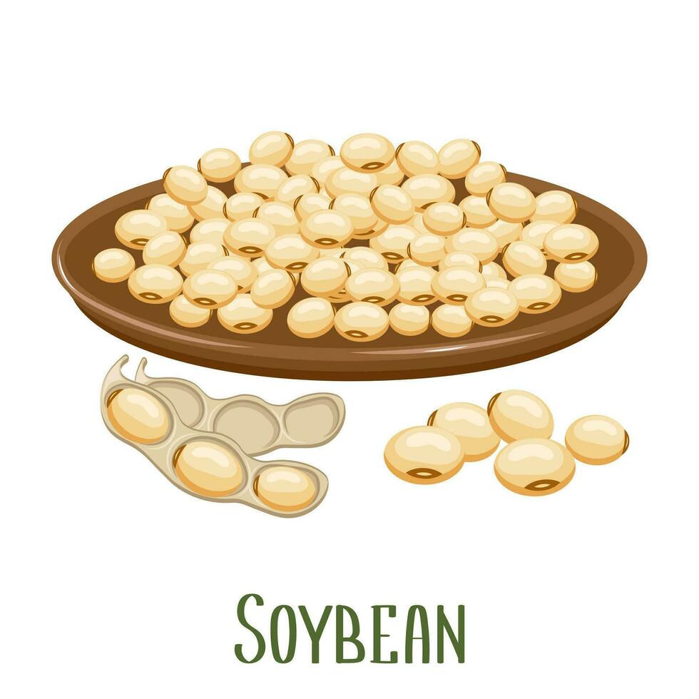 Set of soybeans. Soybean plant, soybeans in pods, in a bowl. Food, agriculture. Illustration, vector