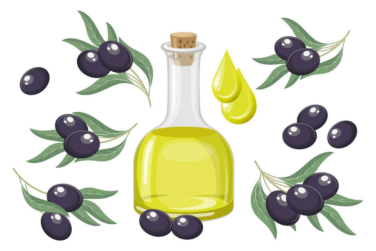 Set of black olives. Olive oil, drops of oil and twigs with olives and leaves. Food illustration, vector