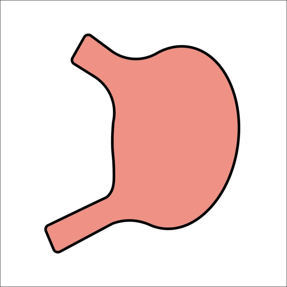 estómago icono. humano cuerpo Organo símbolo. firmar digestión vector. vector