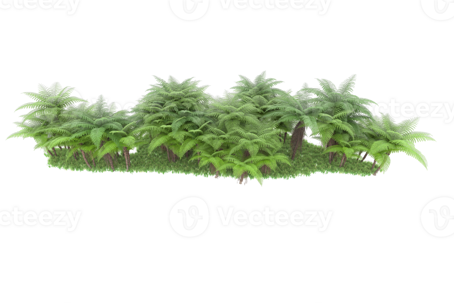 Realistic forest isolated on transparent background. 3d rendering - illustration png