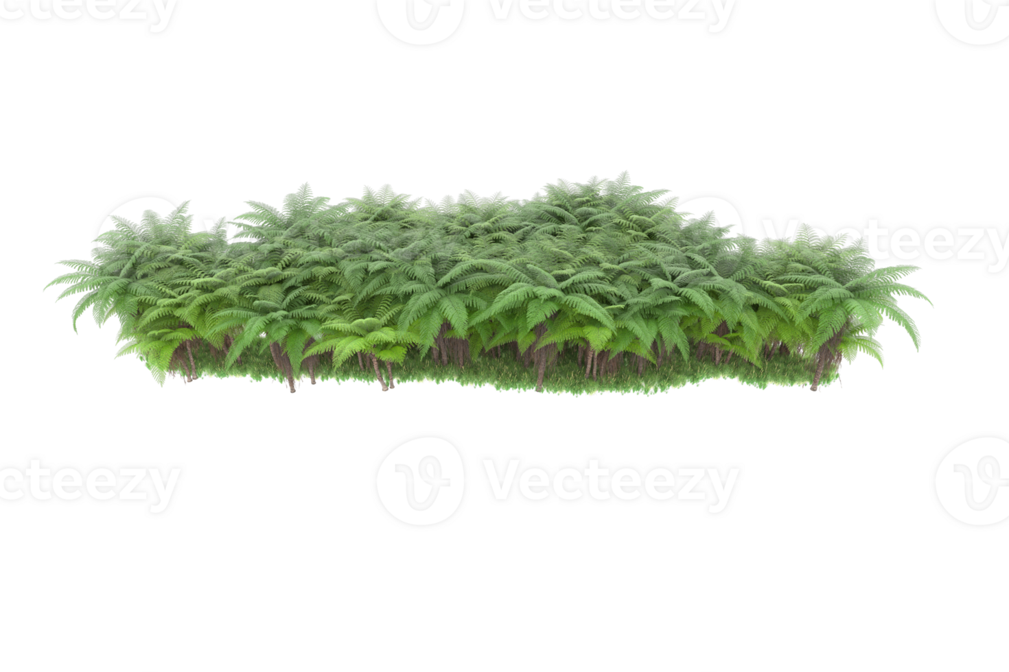 Realistic forest isolated on transparent background. 3d rendering - illustration png