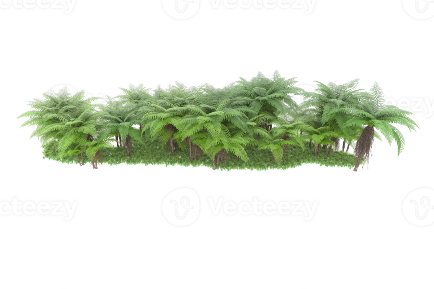 Realistic forest isolated on transparent background. 3d rendering - illustration png