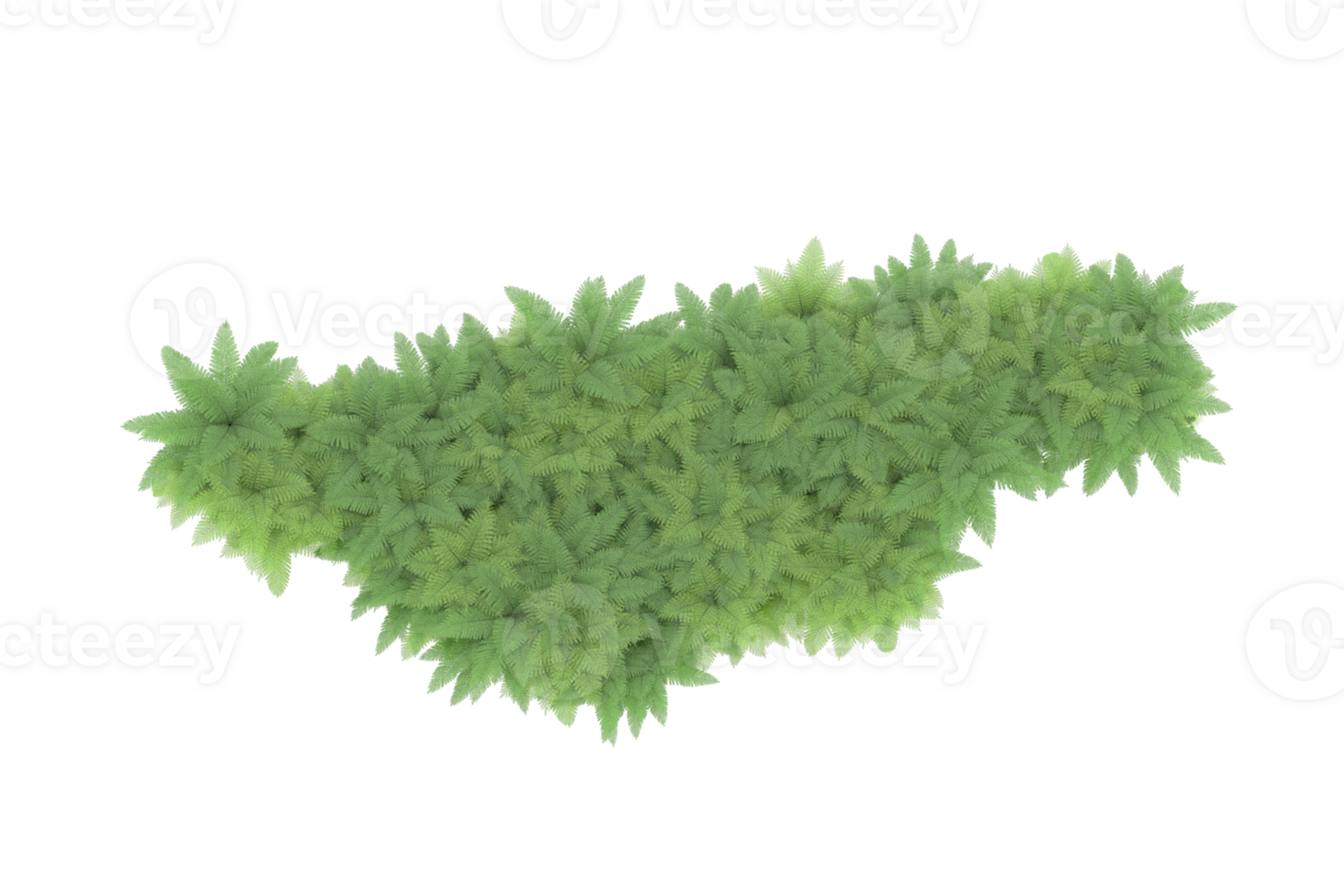 Realistic forest isolated on transparent background. 3d rendering - illustration png