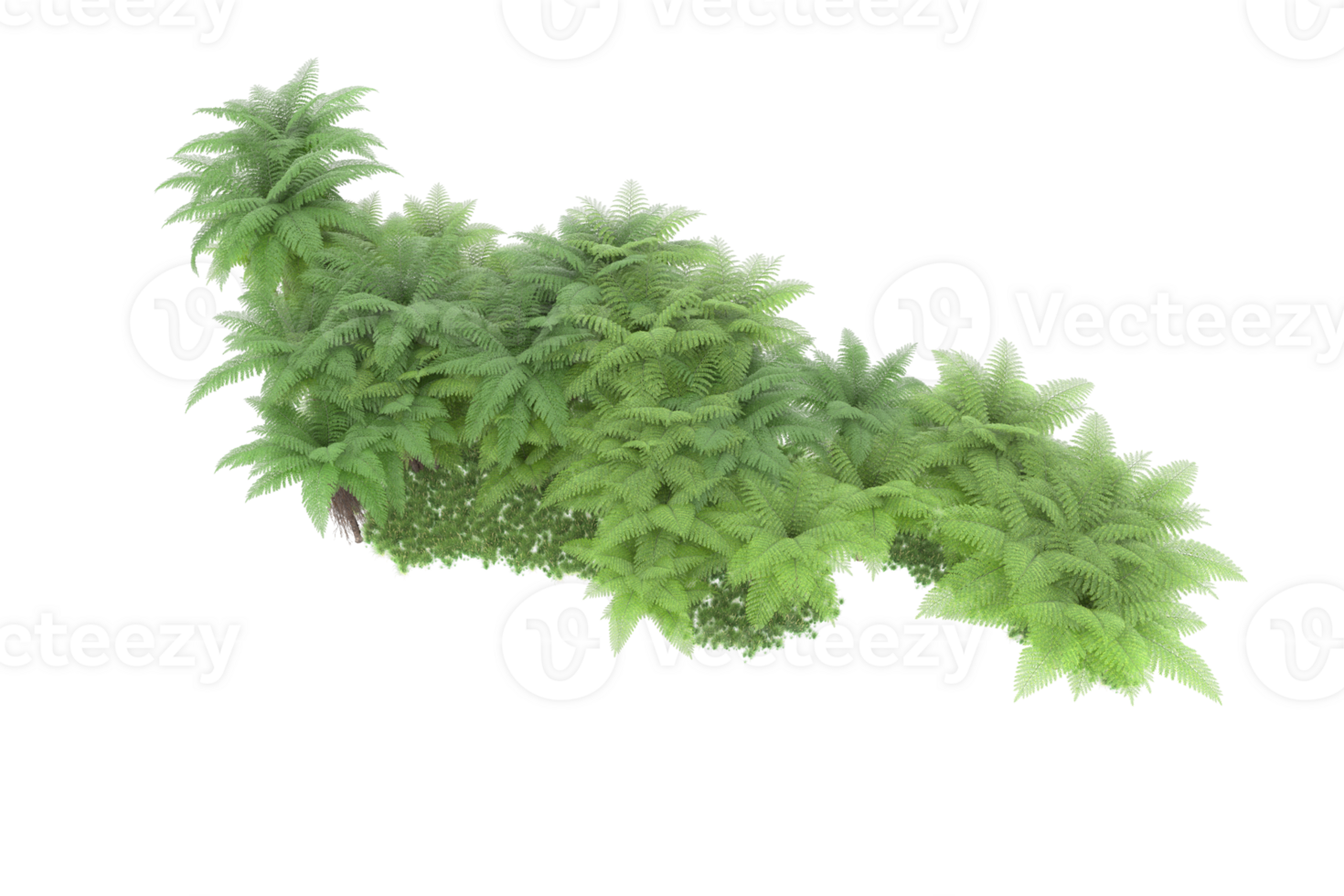 Realistic forest isolated on transparent background. 3d rendering - illustration png