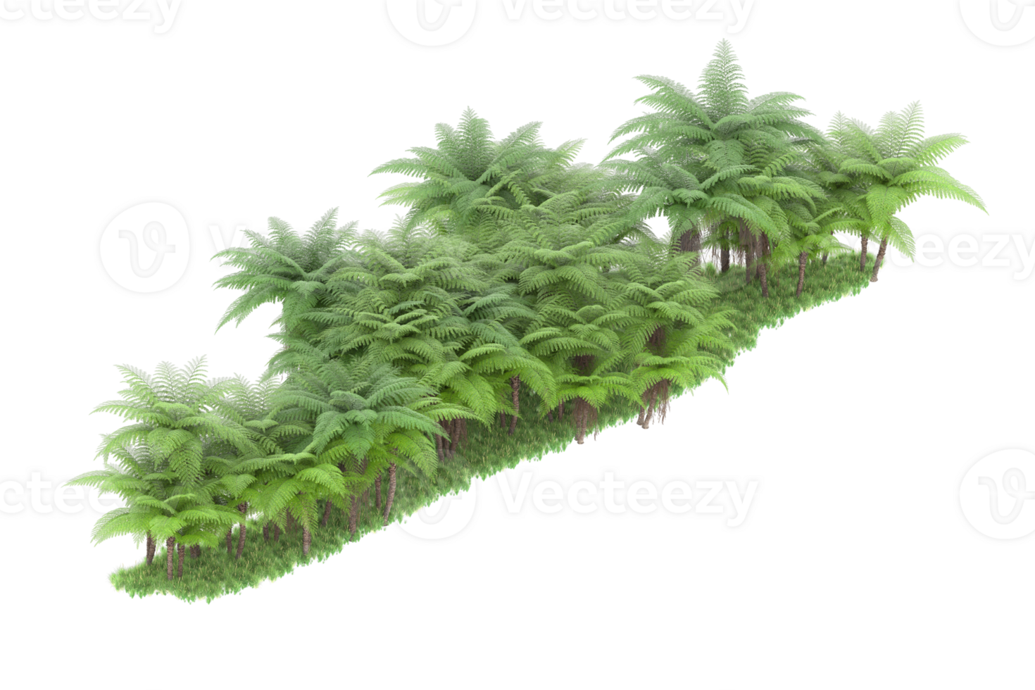 Realistic forest isolated on transparent background. 3d rendering - illustration png