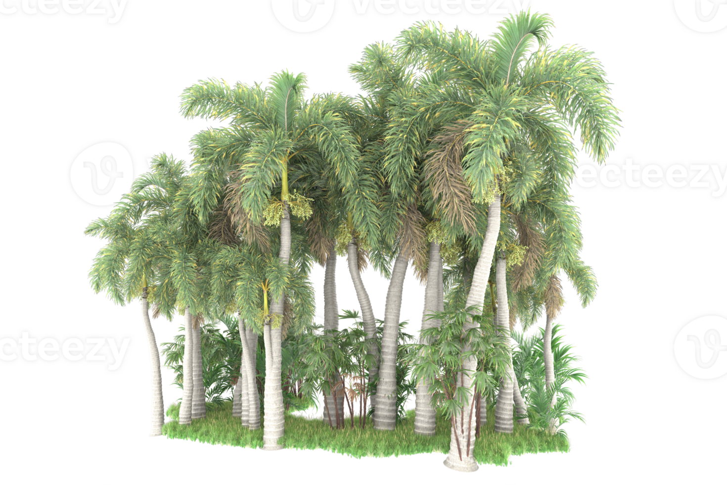 Realistic forest isolated on transparent background. 3d rendering - illustration png