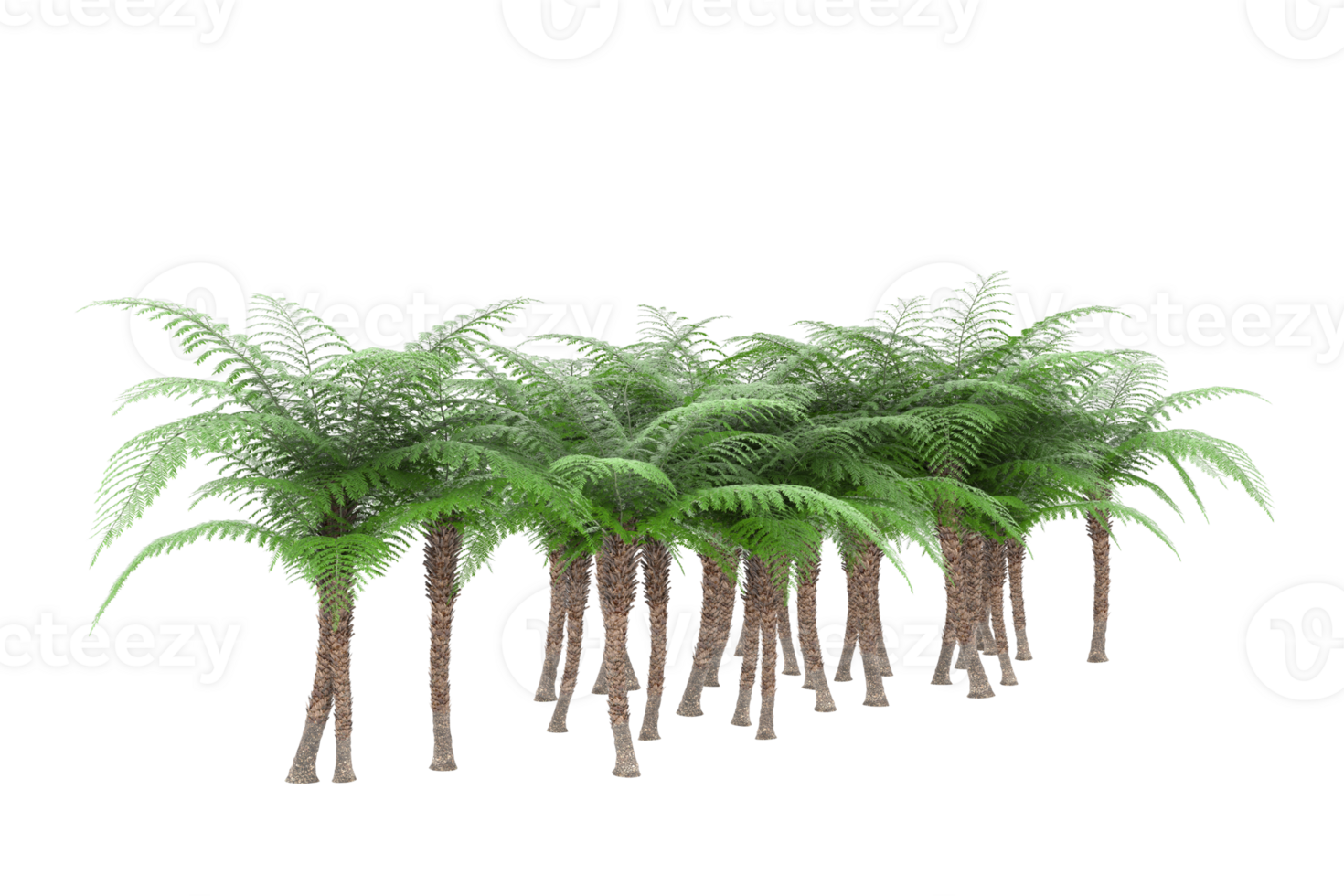 Realistic forest isolated on transparent background. 3d rendering - illustration png