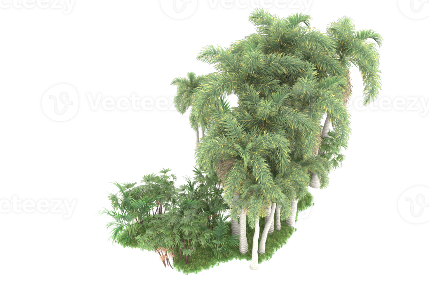Realistic forest isolated on transparent background. 3d rendering - illustration png