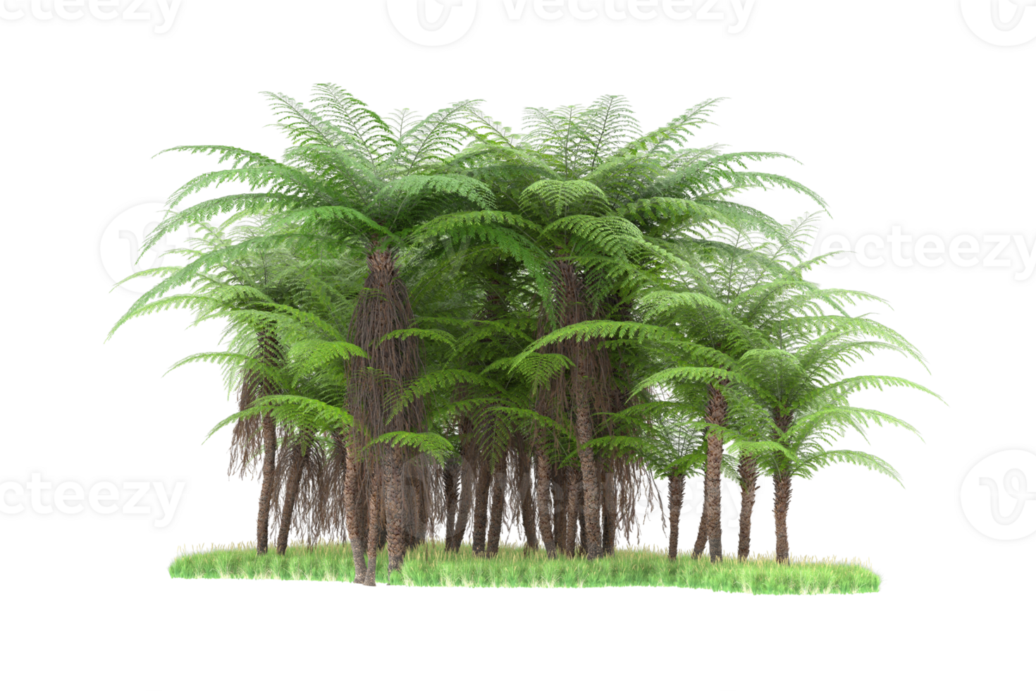 Realistic forest isolated on transparent background. 3d rendering - illustration png