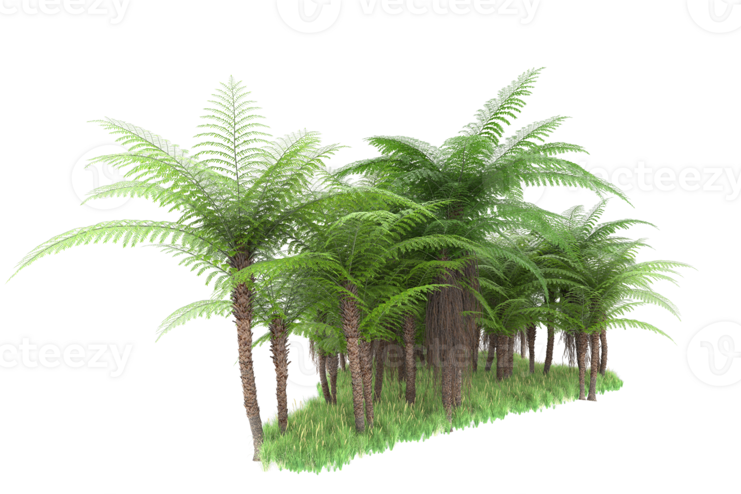 Realistic forest isolated on transparent background. 3d rendering - illustration png