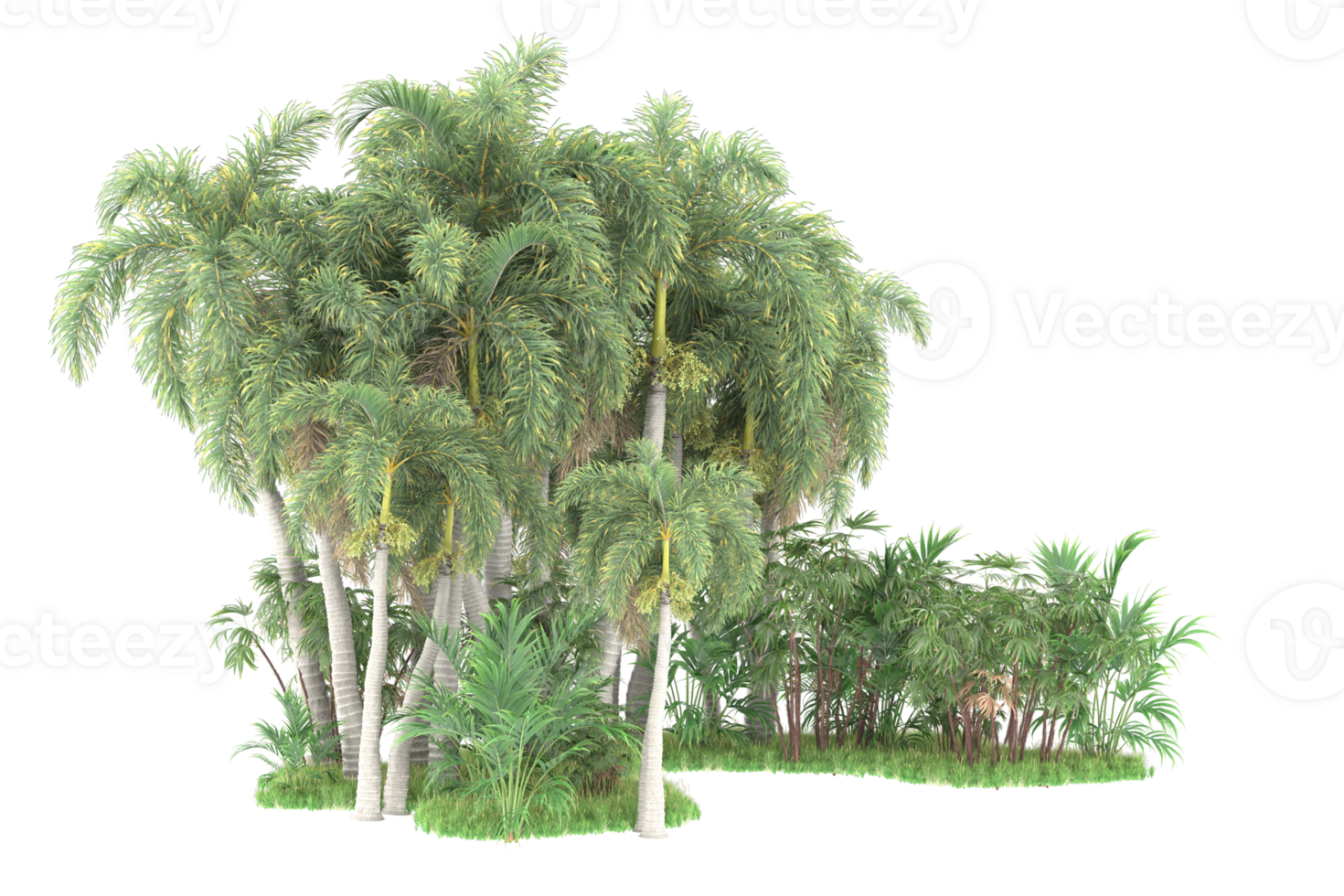 Realistic forest isolated on transparent background. 3d rendering - illustration png