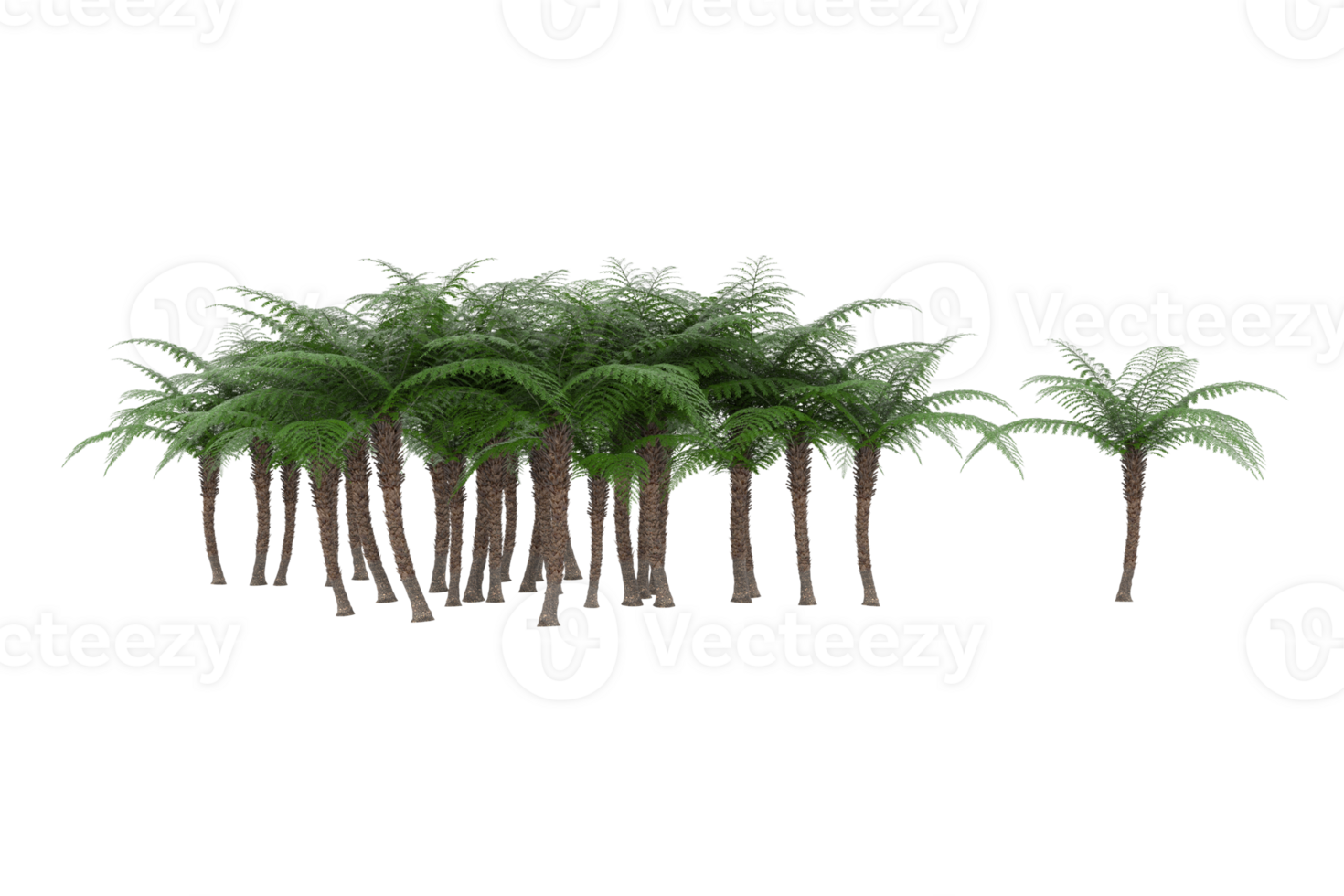 Realistic forest isolated on transparent background. 3d rendering - illustration png