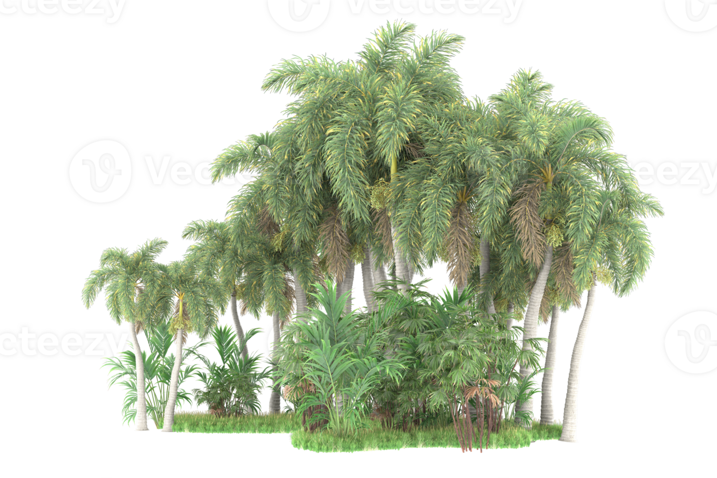 Realistic forest isolated on transparent background. 3d rendering - illustration png