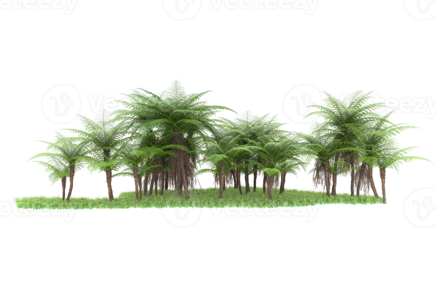 Realistic forest isolated on transparent background. 3d rendering - illustration png