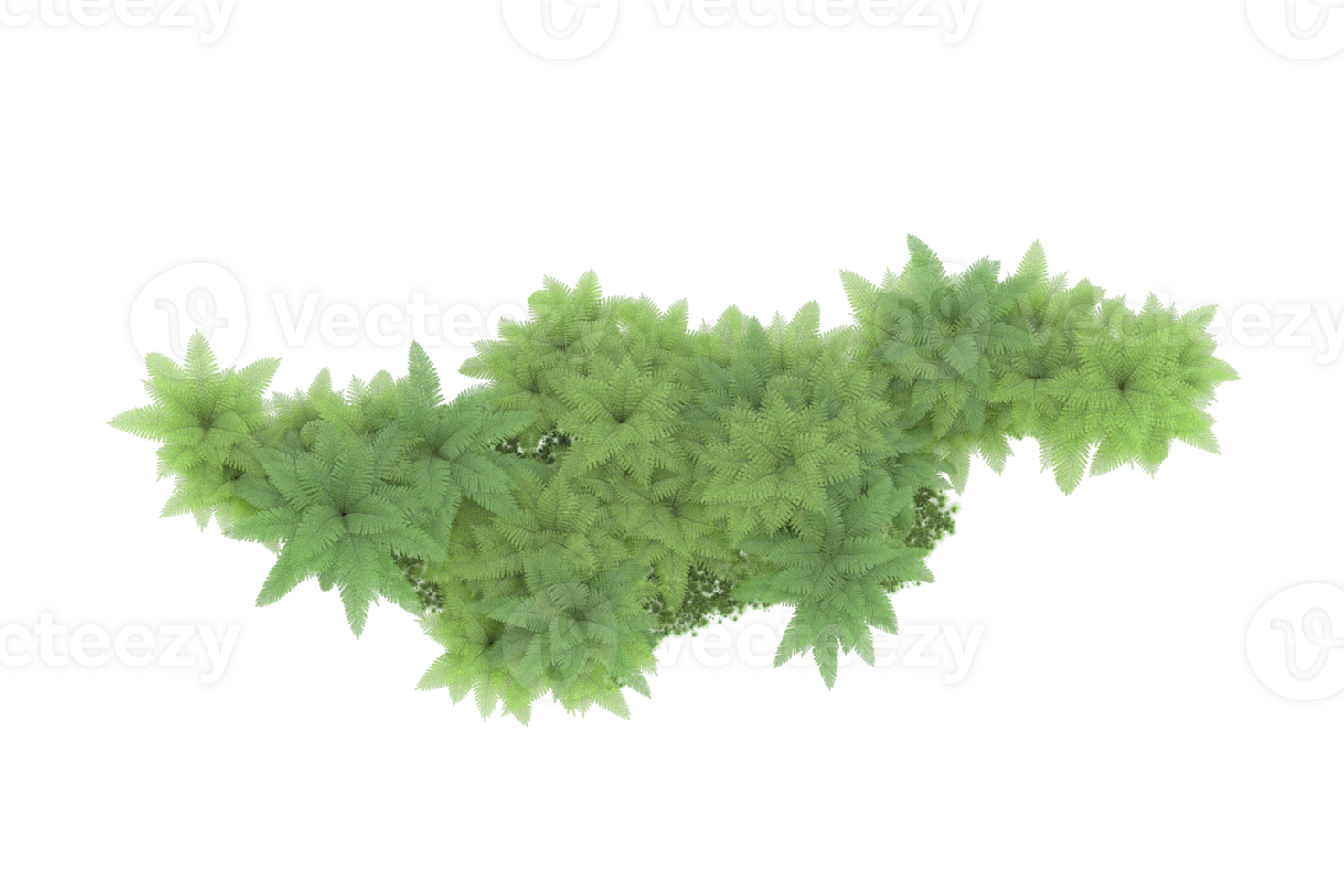 Realistic forest isolated on transparent background. 3d rendering - illustration png