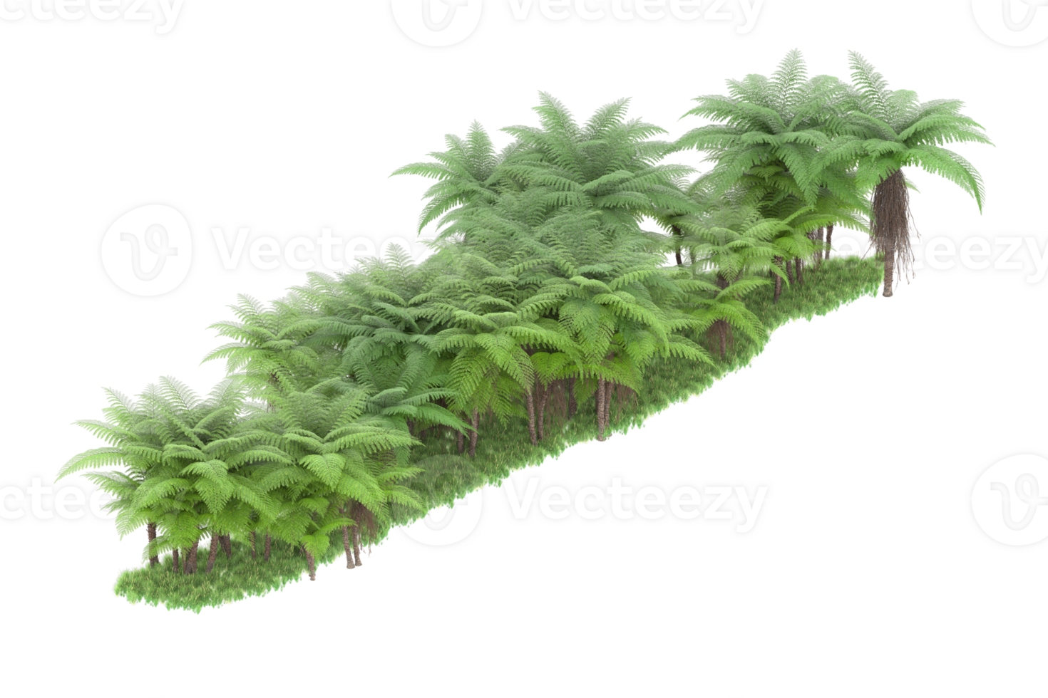 Realistic forest isolated on transparent background. 3d rendering - illustration png