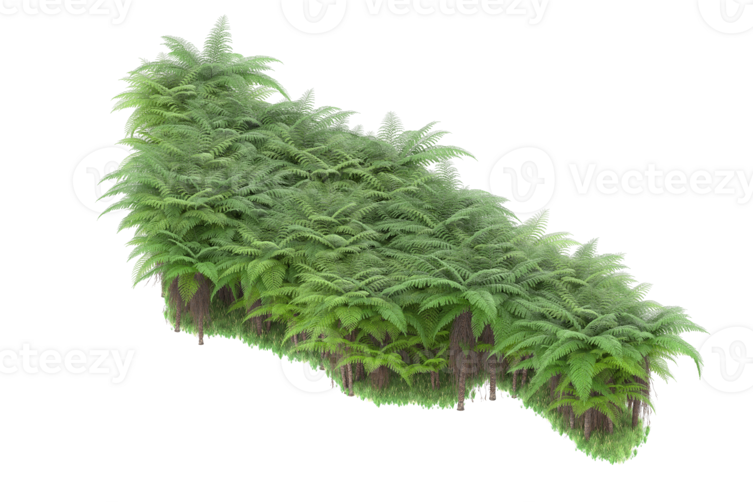 Realistic forest isolated on transparent background. 3d rendering - illustration png