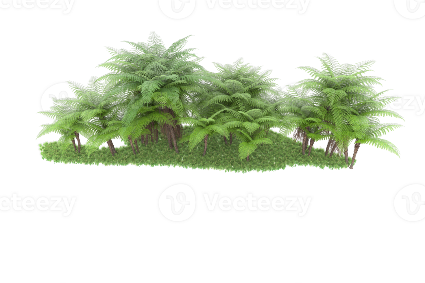 Realistic forest isolated on transparent background. 3d rendering - illustration png