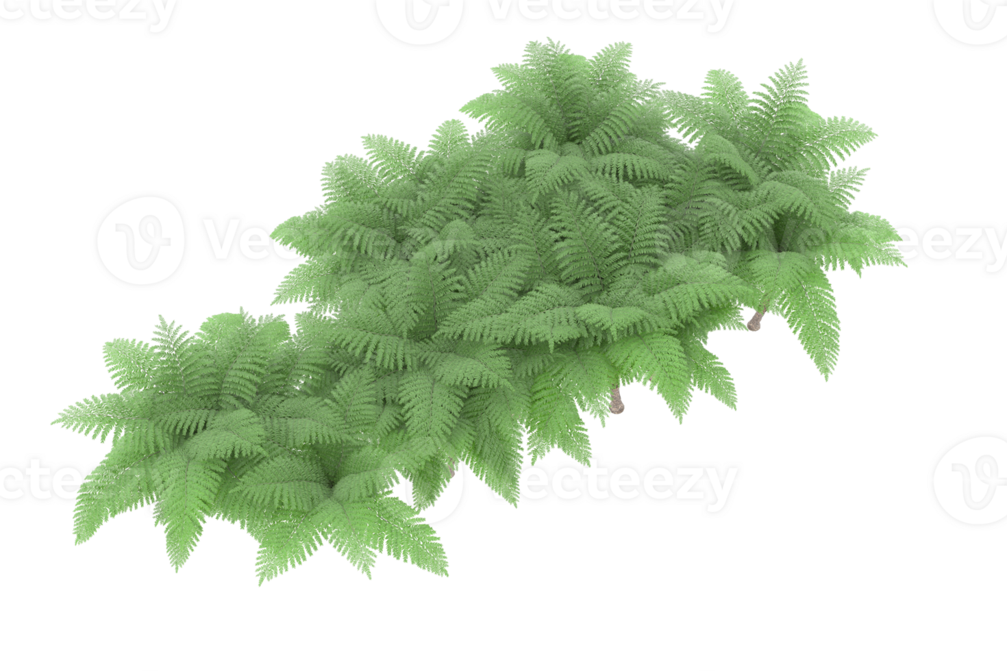 Realistic forest isolated on transparent background. 3d rendering - illustration png