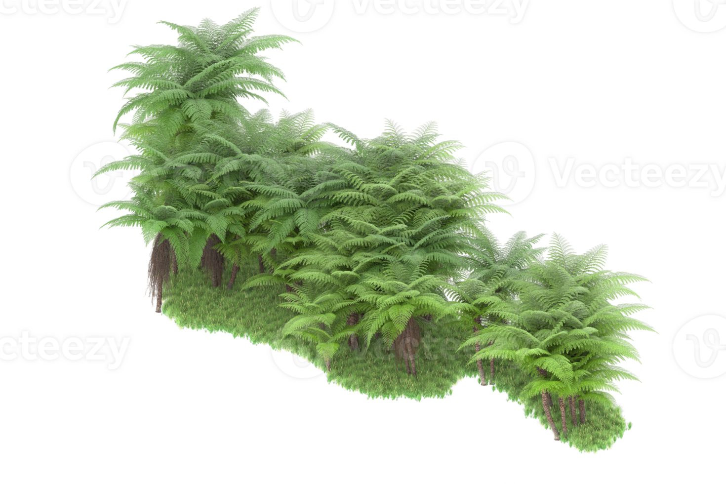 Realistic forest isolated on transparent background. 3d rendering - illustration png