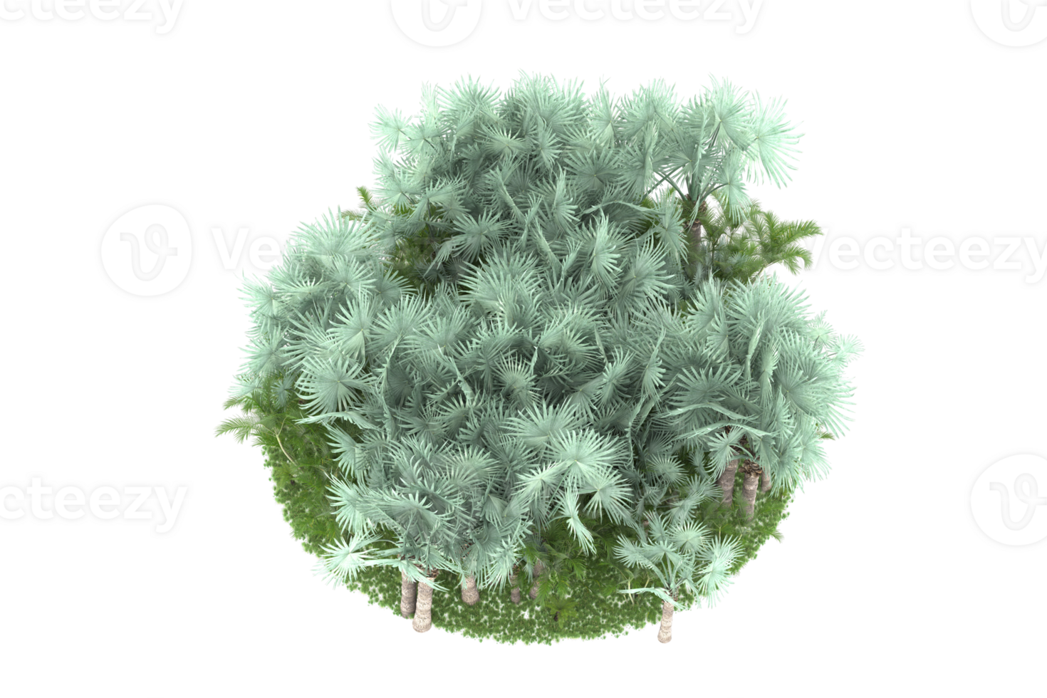 Realistic forest isolated on transparent background. 3d rendering - illustration png