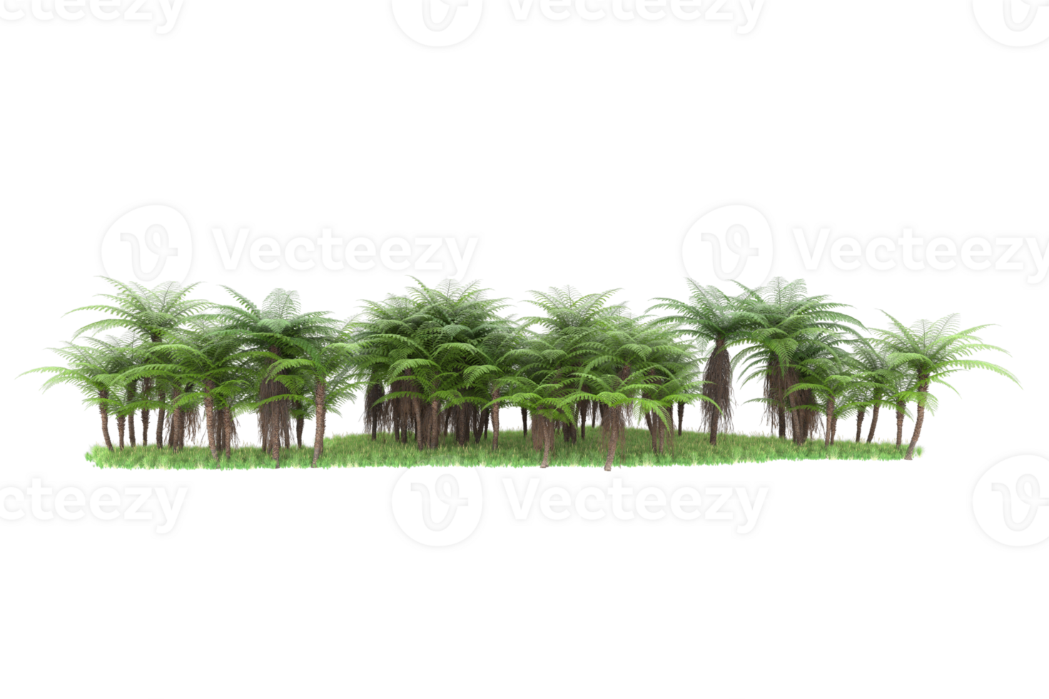 Realistic forest isolated on transparent background. 3d rendering - illustration png