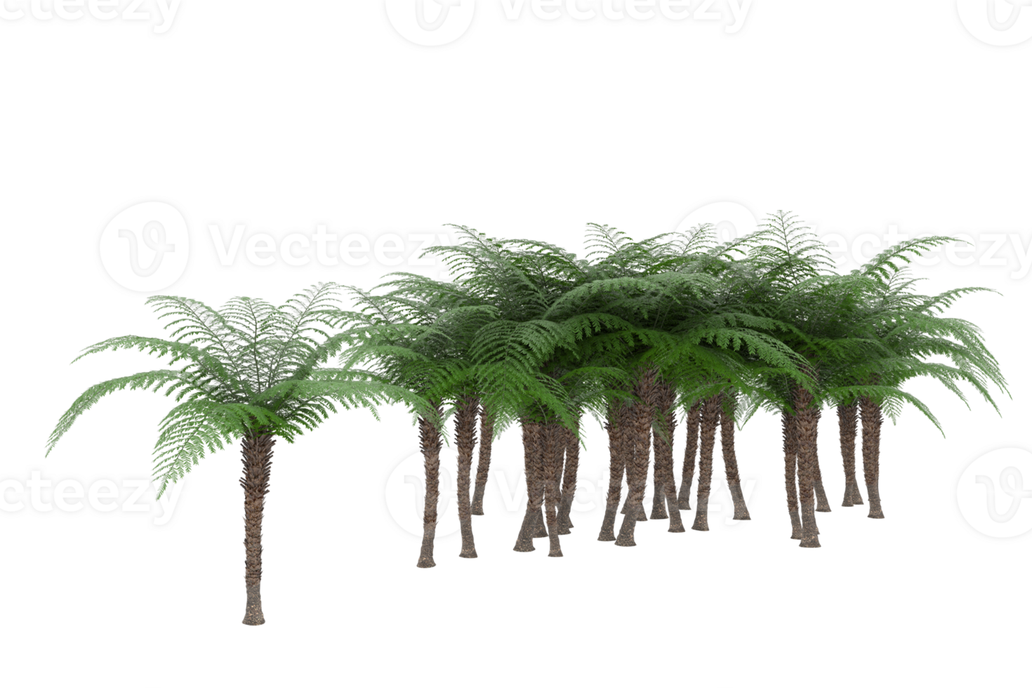 Realistic forest isolated on transparent background. 3d rendering - illustration png