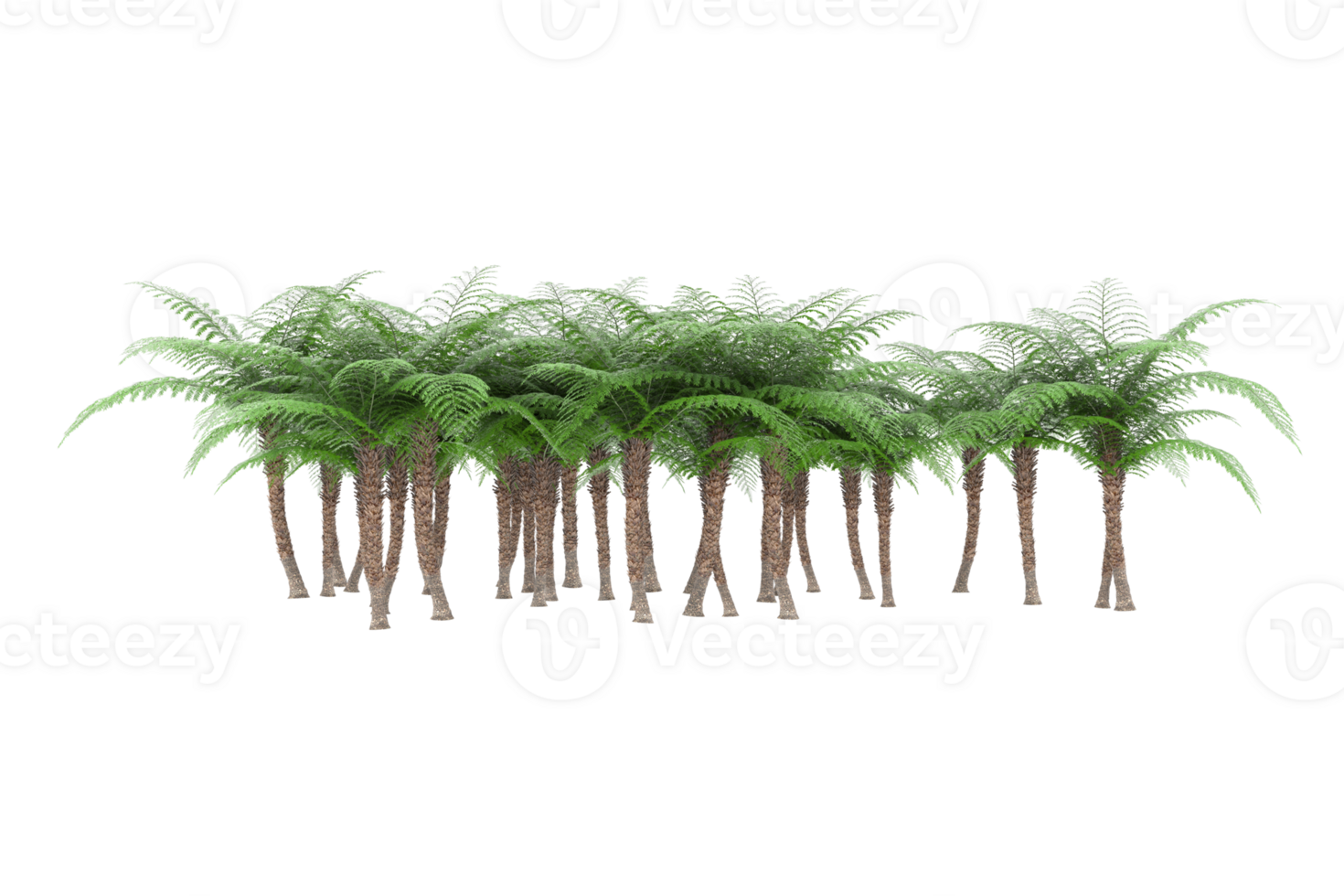 Realistic forest isolated on transparent background. 3d rendering - illustration png