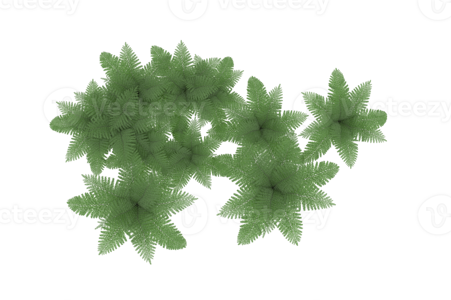 Realistic forest isolated on transparent background. 3d rendering - illustration png