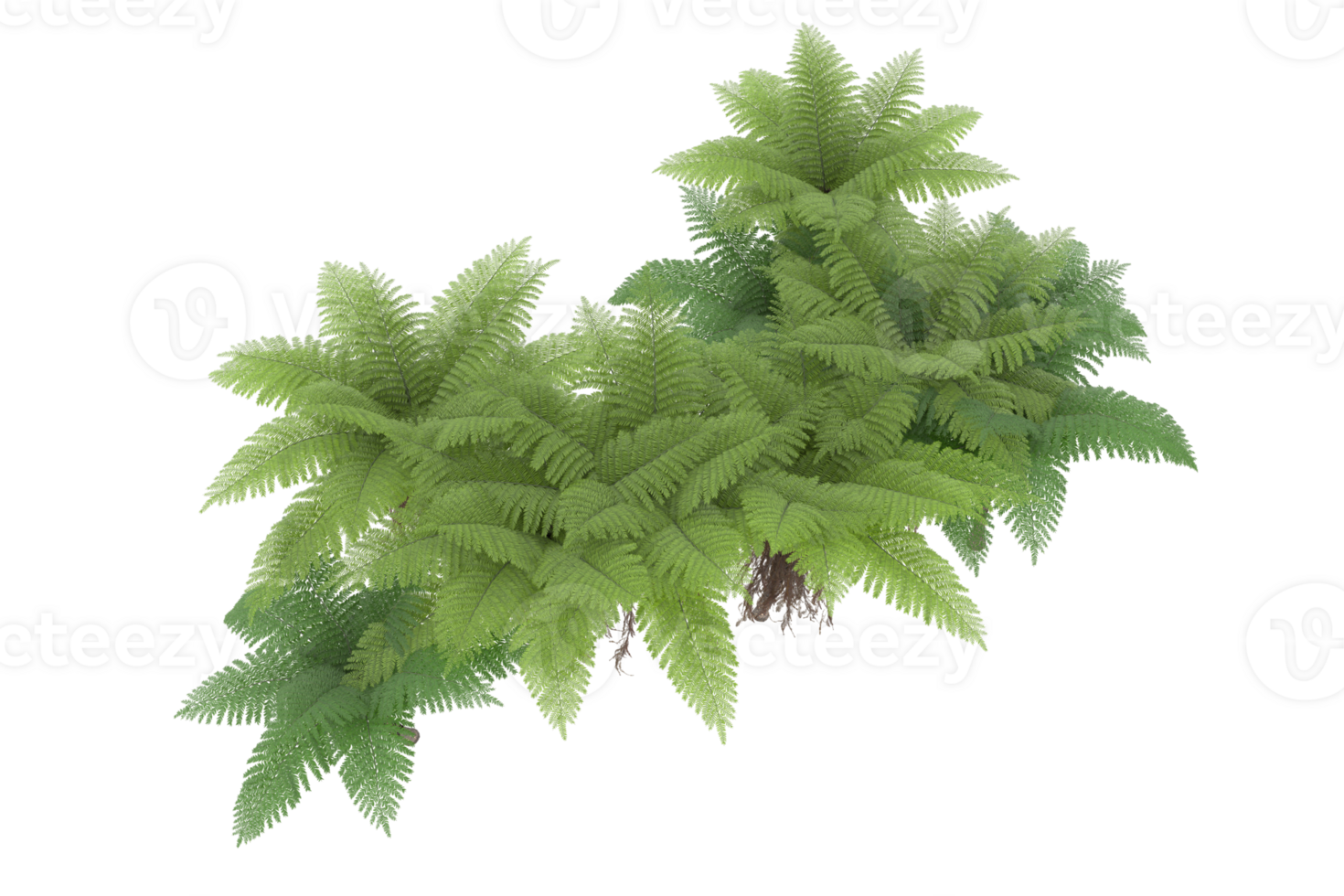 Realistic forest isolated on transparent background. 3d rendering - illustration png