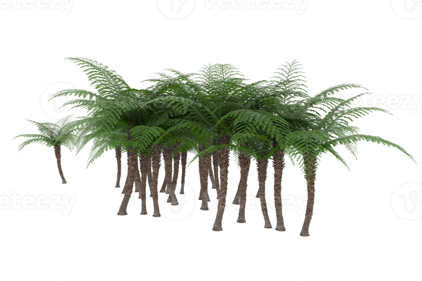 Realistic forest isolated on transparent background. 3d rendering - illustration png