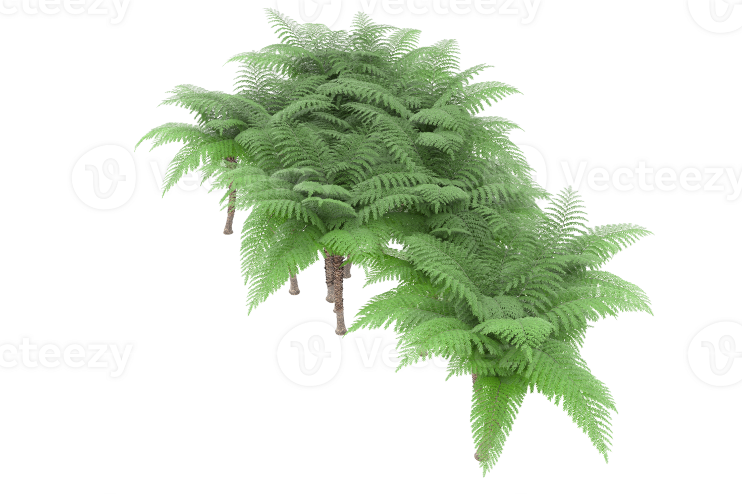 Realistic forest isolated on transparent background. 3d rendering - illustration png