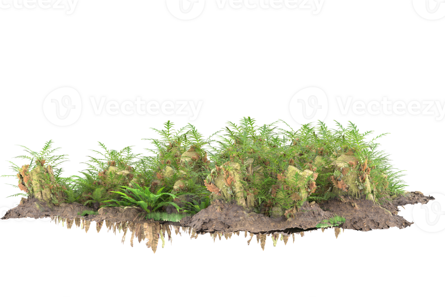 Realistic forest isolated on transparent background. 3d rendering - illustration png