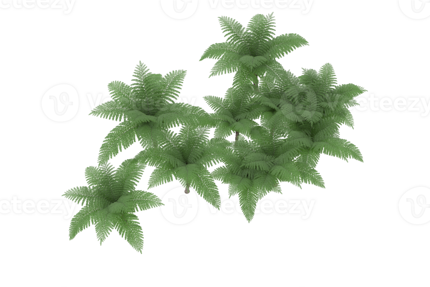 Realistic forest isolated on transparent background. 3d rendering - illustration png