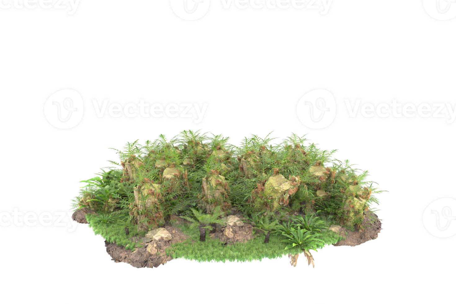 Realistic forest isolated on transparent background. 3d rendering - illustration png